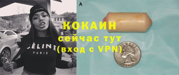 спайс Алексин