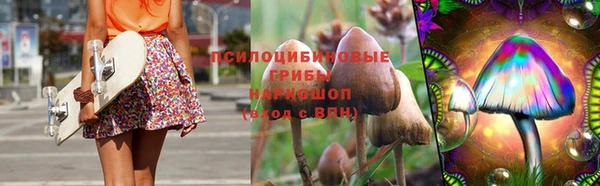 дурь Алзамай